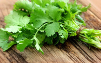Coriander, fresh, 40 gr