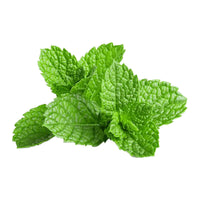 Mint, fresh, 40 gr