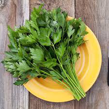 Parsley flat, fresh, 40 gr
