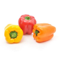 Peppers, tri-colore, 3 pack